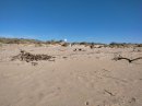 Plage de Marseillan à Sète